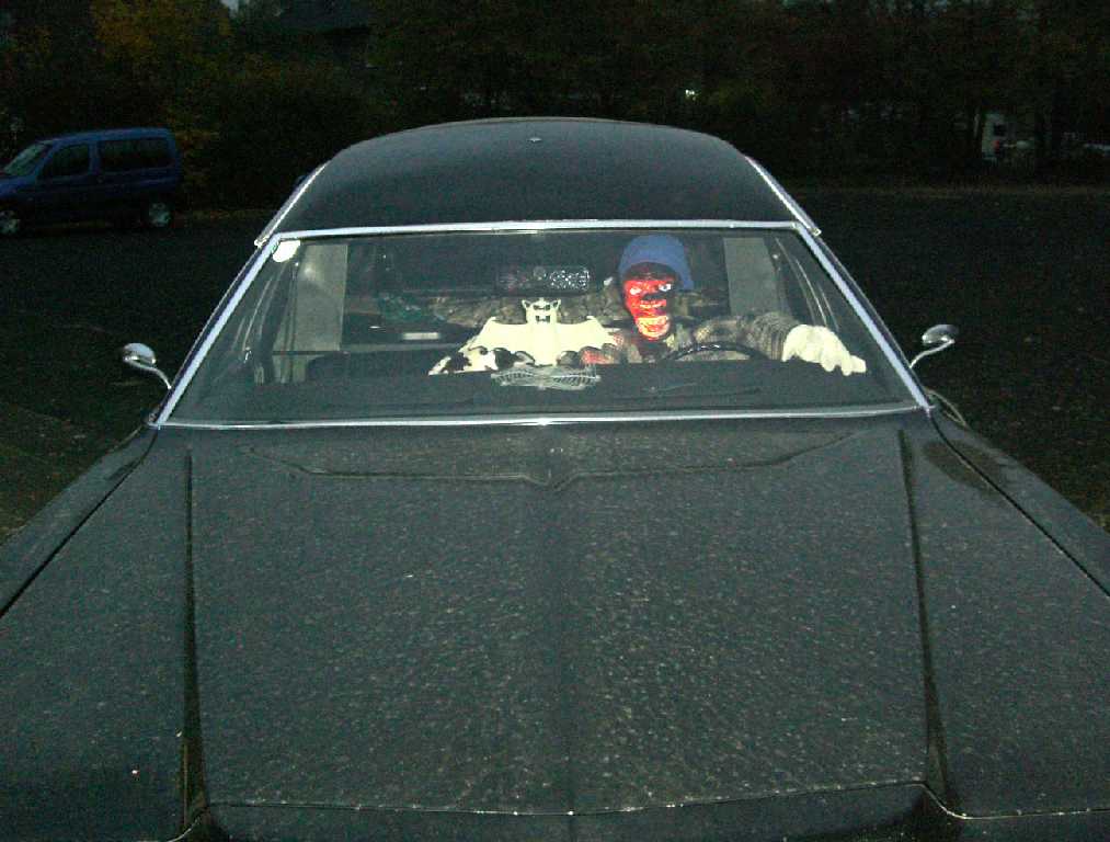 BILD 118