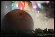 K1024_630C0925